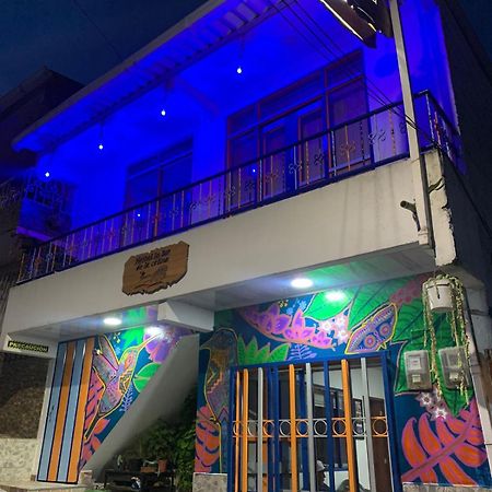 Hostal La Luz De La Colina Filandia Ngoại thất bức ảnh